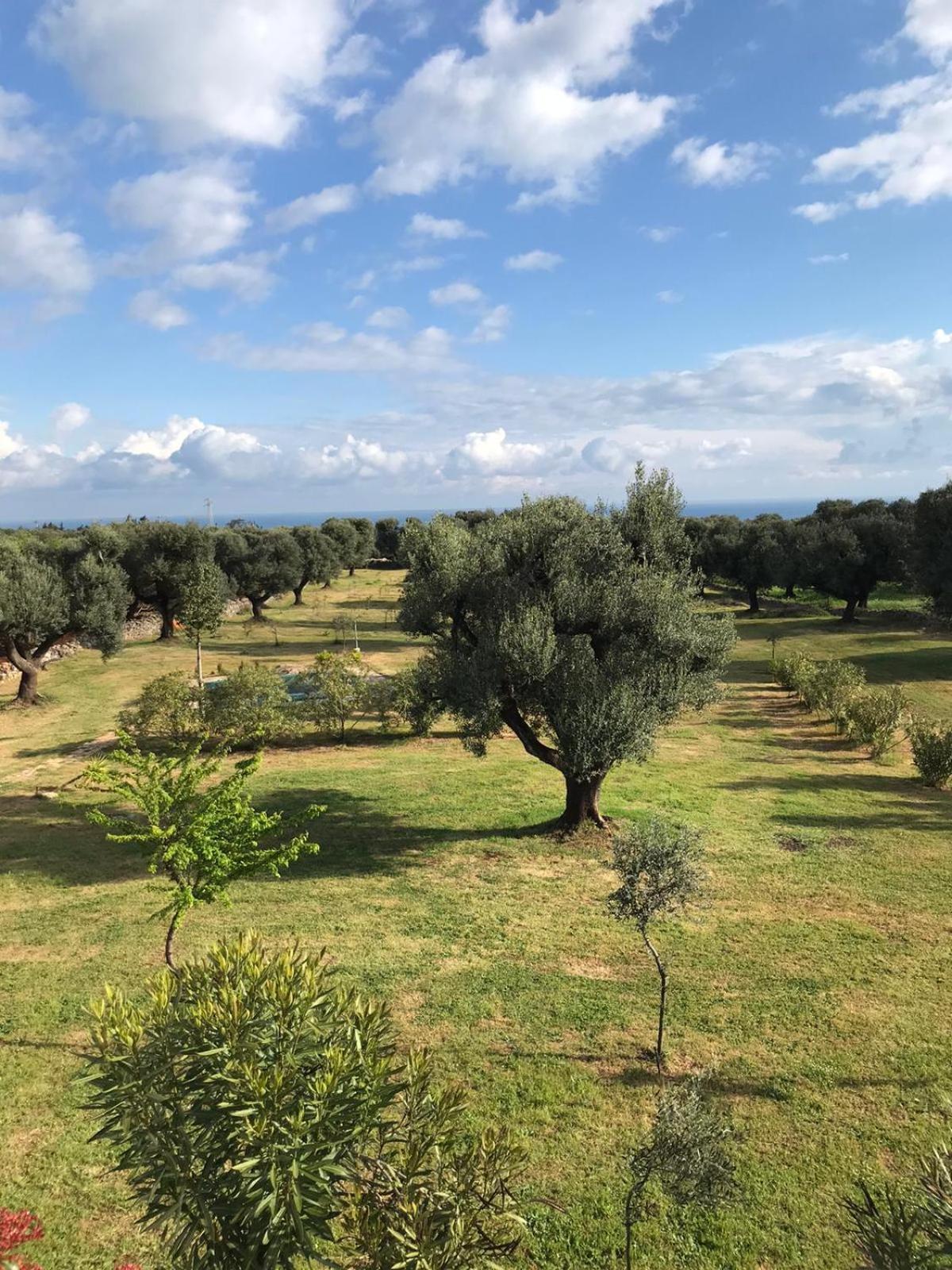 Sol Invictus Est Villa Serranova Buitenkant foto