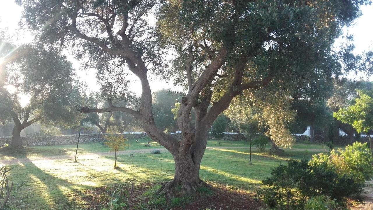 Sol Invictus Est Villa Serranova Buitenkant foto